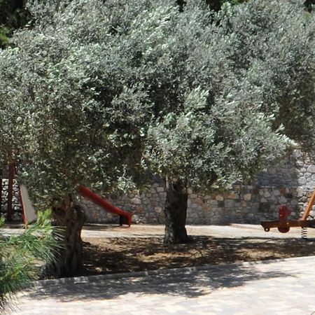 Kaminos Resort Limni (Evia) Экстерьер фото